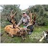 Image 1 : New Zealand: 8 Day 3 Hunter Red Stag, Tahr & Chamois hunt, includes $21,900 in trophy fees.