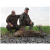 Image 5 : Serbia: 5 Day 6 Night Roe Deer Hunt for 1 Hunter & 1 Observer (or Two Hunters), includes 1 Roe Deer