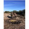 Image 9 : Argentina: 5 Day 6 Night High Volume Duck & Dove Hunt for 3 Hunters