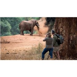South Africa: 4 Day Kruger National Park Photo and Sightseeing Safari for 2