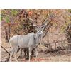 Image 2 : South Africa: 4 Day Kruger National Park Photo and Sightseeing Safari for 2