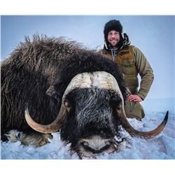 Raffle:  Alaska Governors Nunivak Island Muskox Permit, Includes $5,000 + hunting lic. + Tag