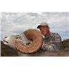 Image 1 : Grand Slam – Four North American Wild Sheep for One Hunter