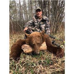 *Manitoba – 5 Day - Black Bear Hunt for One Hunter