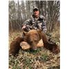 Image 1 : *Manitoba – 5 Day - Black Bear Hunt for One Hunter