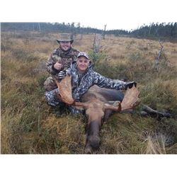 *Newfoundland – 5 Day – Eastern Canada Moose and Black Bear Hunt for One Hunter