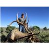 Image 1 : *New Mexico – 5 Day – Archery Rocky Mountain Elk Hunt for One Hunter