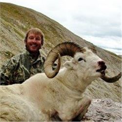 Alaska – 10 Day – Dall sheep Hunt for One Hunter
