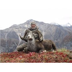 British Columbia – 14 Day – Stone Sheep, Wolf and Black Bear Hunt for One Hunter