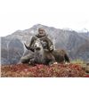 Image 1 : British Columbia – 14 Day – Stone Sheep, Wolf and Black Bear Hunt for One Hunter