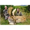 Image 4 : *New Zealand – 4 Day – Red Stag Hunt for One Hunter