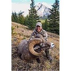 Alberta - 14 Day- Rocky Mountain  Big Horn Sheep Hunt for One Hunter