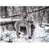 Image 1 : *British Columbia – 5 Day – Canadian Lynx Hunt for One Hunter