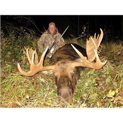 *Alberta – 6 Day – Late Season Moose Hunt for One Hunter