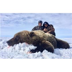 Northwest Territories – 10 Day – Arctic Grizzly Hunt for One Hunter