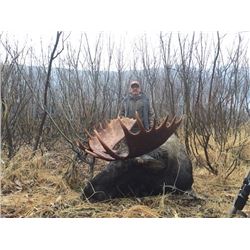 British Columbia – 12 -Day- Canada Moose Hunt for One Hunter
