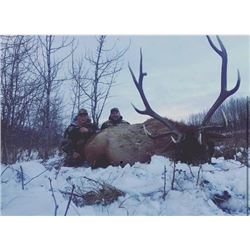 *Alberta - 8 Day – Elk Hunt for One Hunter