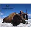Image 1 : Colorado – 2 Day- American Bison Hunt for One Hunter