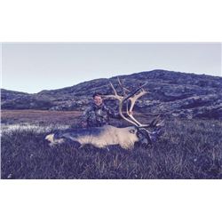 Greenland – 4 Day/5 Night – Reindeer or Caribou Hunt for Two Hunters