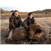 Image 1 : *New Mexico – 5 Day – Cow Elk Hunt for Two Youth Hunters