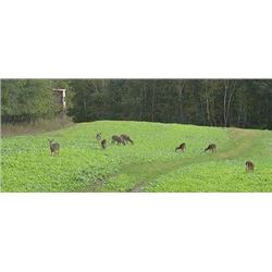 Michigan Food Plot Service