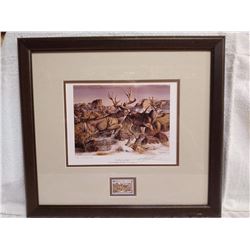 Mule Deer Framed Print with Stamp - 1998