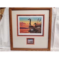 Framed Canadian Goose Print with Stamp