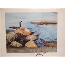 Signed, Chris Wozniak Goose Print