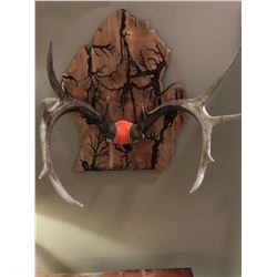 Custom-made Michigan Shaped Antler Plaque