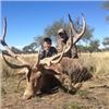 Image 2 : Argentina Red Stag Hunt