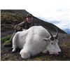 Image 2 : British Columbia Choice of Hunt