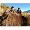 Image 2 : New Zealand Tahr Hunt