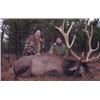 Image 2 : MINNESOTA BULL ELK HUNT WITH CHARTER FISHING