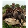 Image 1 : Texas Rio Grande Turkey Hunt