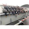 Image 2 : Maryland Sea Duck Hunt for Four Hunters