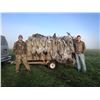 Image 1 : West Texas Sandhill Crane Hunt for Two