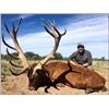 Image 1 : Seven-Day Red Stag Hunt in Argentina