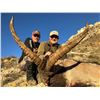 Image 2 : Management Beceite Ibex in Spain for 1 Hunter