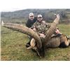Image 3 : Management Beceite Ibex in Spain for 1 Hunter