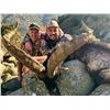 Image 4 : Management Beceite Ibex in Spain for 1 Hunter