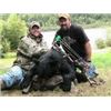 Image 1 : 5-Day Maine Black Bear Hunt For Two Hunters