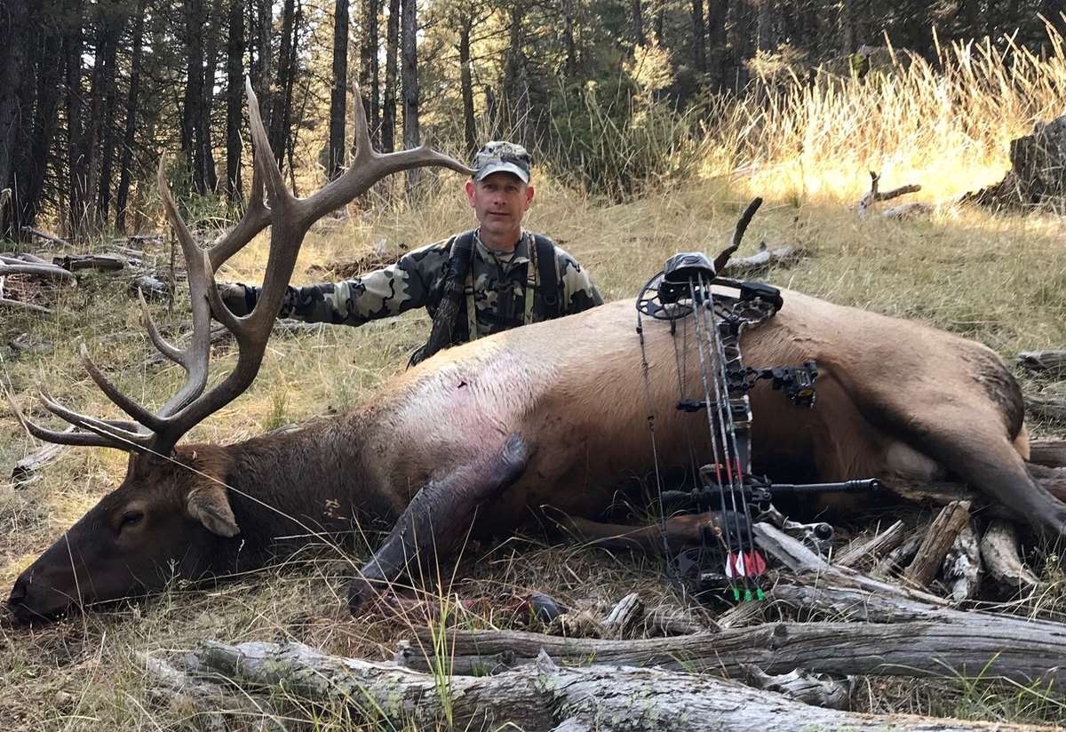 Fully Guided Idaho Archery Elk Hunt for Two Hunters