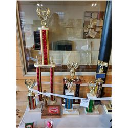 Lot of Trophies