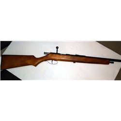 Stevens .22 Bolt Action Rifle