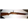 Image 1 : Stevens .22 Bolt Action Rifle