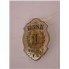 Image 1 : HAND STAMPED HOSE #1 WHITMAN MA FIRE DEPT. BREAST