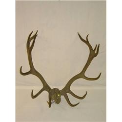  ELK SKULLCAP W/ 46 RACK;