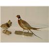 Image 1 :  (2) MOUNTED GAME BIRDS: RING NECK PHEASANT & RUF