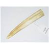 Image 1 :  7 1/4 IVORY TUSK - NORMAL WEAR;