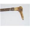 Image 1 :  33 1/2 CANE W/ CARVED BONE DOG FORM HANDLE - WEA